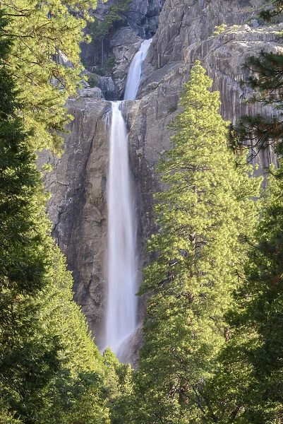 Lower Yosemite Falls in Yosemite Valley, Califorinia, USA. Spring (June) 2015