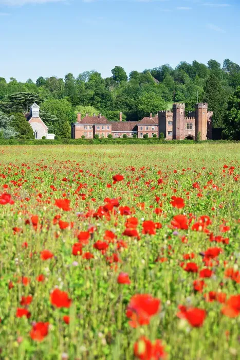Framed Print : Lullingstone Castle and a field of poppies, Eynsford, Kent, England Framed Print : Lullingstone Castle and a field of poppies, Eynsford, Kent, England