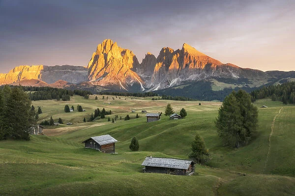 Lush green meadows and some old cabins create the classic alpine landscape at the Alpe di Siusi (Seiser Alm), with the Sassolungo and Sassopiatto taking the last light in the background. Dolomites, Italy