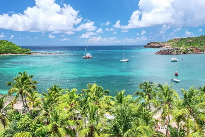 Framed Print : Lush palm trees on sandy shore overlooking a blue lagoon, Galleon beach, aerial view, English Harbour, Antigua, Caribbean Framed Print : Lush palm trees on sandy shore overlooking a blue lagoon, Galleon beach, aerial view, English Harbour, Antigua, Caribbean