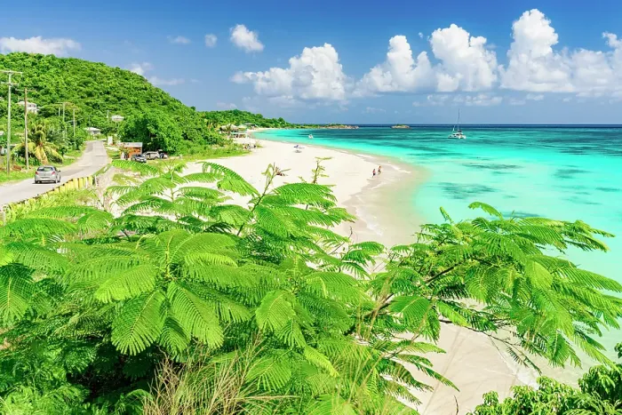Framed Print : Lush tropical trees on a coastal road overlooking the white sand of Darkwood Beach, Antigua, Antigua & Barbuda, Caribbean