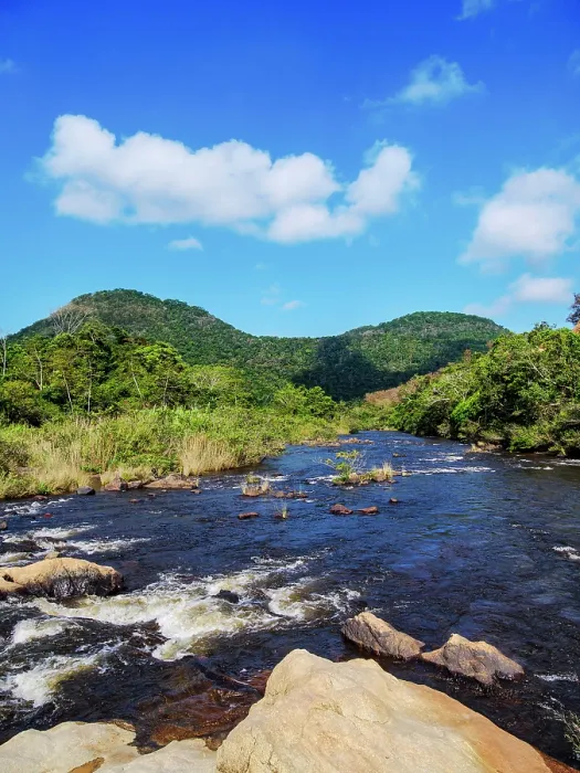 Framed Print : Macal River seen from the road to Caracol Ruins, Cayo District, Belize