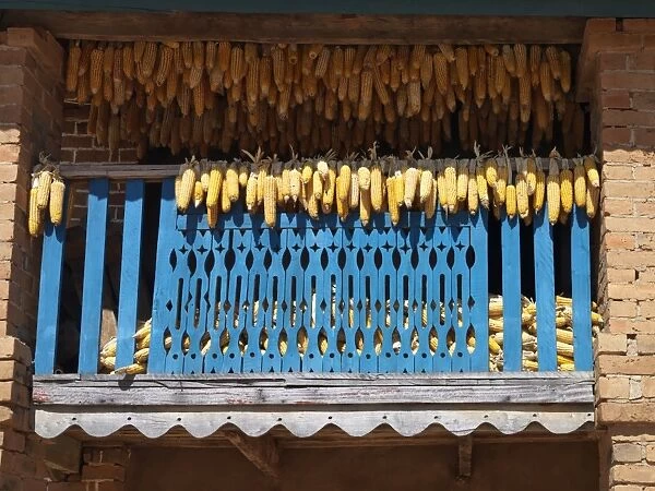 Maize cobs drying on the balcony of a traditional Betsileo double-storied house