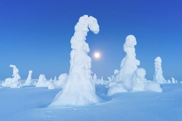 Framed Print : Majestic ice sculptures wrapped in snow lit by full moon at dusk, Riisitunturi National Park, Posio, Lapland, Finland Framed Print : Majestic ice sculptures wrapped in snow lit by full moon at dusk, Riisitunturi National Park, Posio, Lapland, Finland