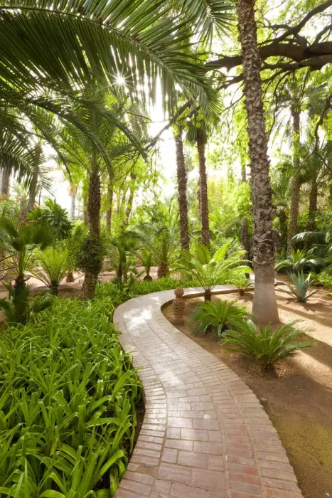 Framed Print : Majorelle Gardens, Marrakesh, Morocco, North Africa Framed Print : Majorelle Gardens, Marrakesh, Morocco, North Africa