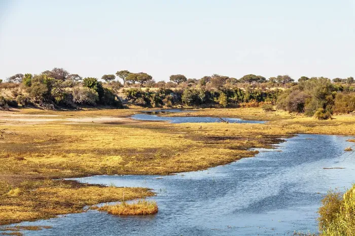 Framed Print : Makgadikgadi Pans National Park, Makadikadi Basin, Boteti River, Botswana, Africa Framed Print : Makgadikgadi Pans National Park, Makadikadi Basin, Boteti River, Botswana, Africa
