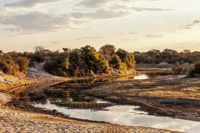 Framed Print : Makgadikgadi Pans National Park, Makadikadi Basin, Boteti River, Botswana, Africa Framed Print : Makgadikgadi Pans National Park, Makadikadi Basin, Boteti River, Botswana, Africa