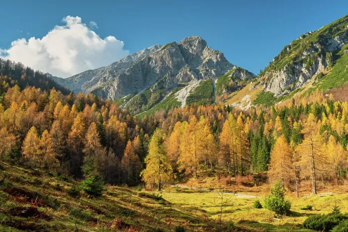 Framed Print : Mala Mojstrovka in Autumn, Julian Alps, Triglav National Park, Slovenia, Europe Framed Print : Mala Mojstrovka in Autumn, Julian Alps, Triglav National Park, Slovenia, Europe