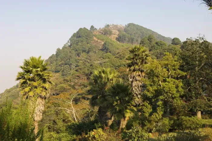 Framed Print : Malawi, Zomba. View from the exotic gardens of Ku Chawe Inn towards Zomba Mountain Framed Print : Malawi, Zomba. View from the exotic gardens of Ku Chawe Inn towards Zomba Mountain