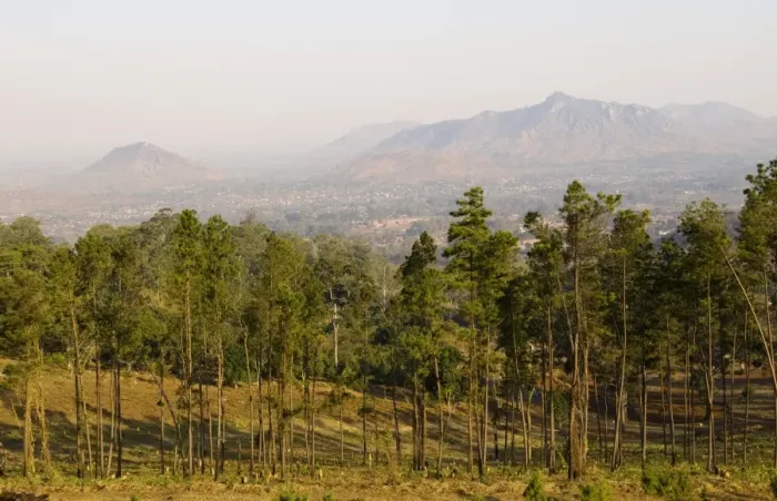 Framed Print : Malawi, Zomba. View over the town of Zomba from the lower slopes of Zomba Plateau where once there was dense Framed Print : Malawi, Zomba. View over the town of Zomba from the lower slopes of Zomba Plateau where once there was dense