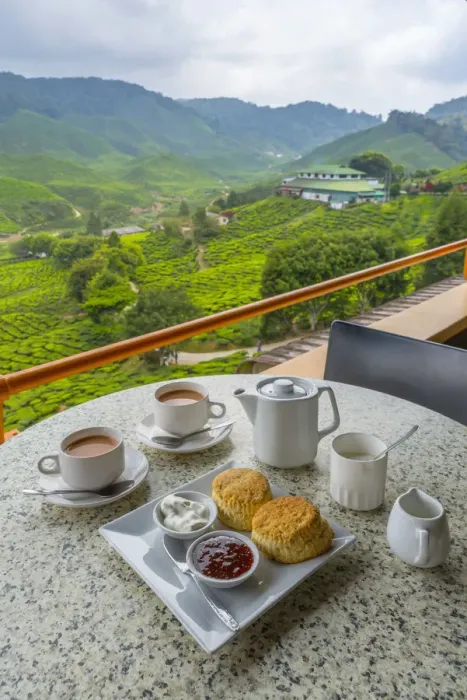Framed Print : Malaysia, Pahang, Cameron Highlands, Tanah Rata, Cameron Valley Tea Estate, Cameron