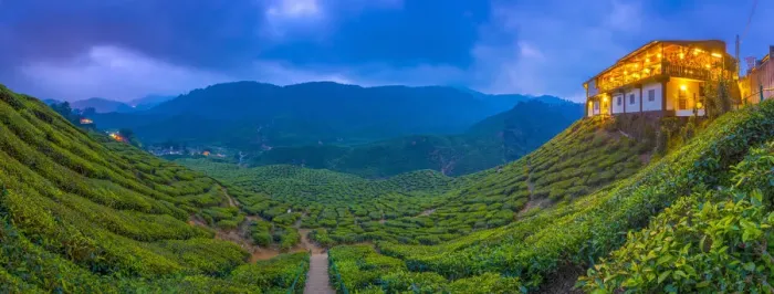 Framed Print : Malaysia, Pahang, Cameron Highlands, Tanah Rata, Cameron Valley Tea Estate, Cafe Framed Print : Malaysia, Pahang, Cameron Highlands, Tanah Rata, Cameron Valley Tea Estate, Cafe