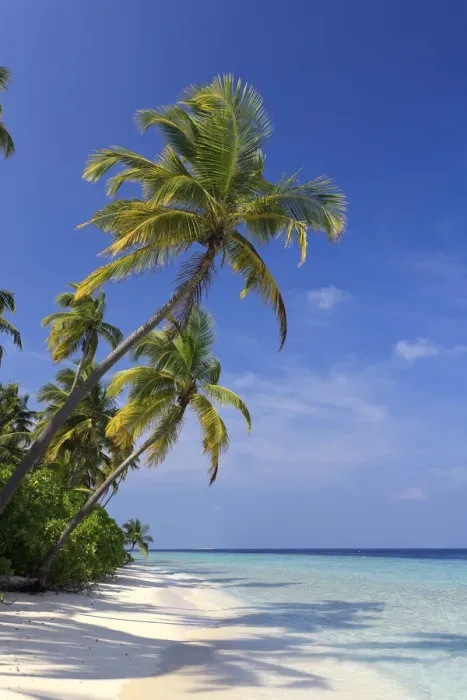 Framed Print : Maldives, Faafu Atoll, Filitheyo Island