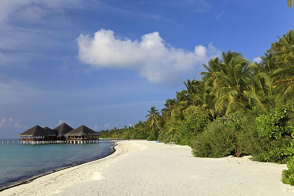 Maldives, Meemu Atoll, Medhufushi Island