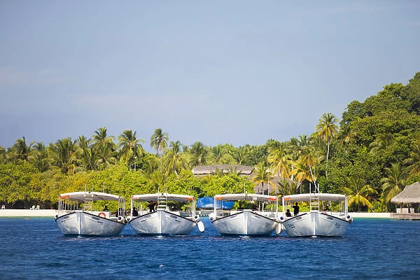 Maldives, Rasdhoo Atoll, Kuramathi Island. Dive Boats at Kuramathi Island Resort