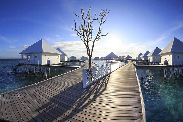 Maldives, South Ari Atoll, Thudufushi Island, Diamonds Thudufushi Resort, Water villas