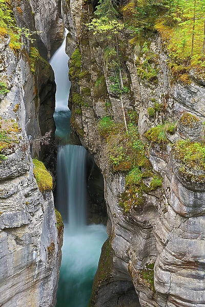 Maligne River flows down the Maligne Canyon, Jasper National Park, Alberta, Canada