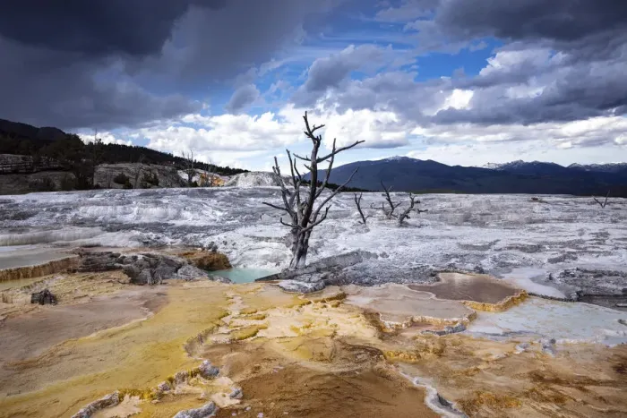 Framed Print : Mammoth Springs, Yellowstone National Park, Wyoming, USA