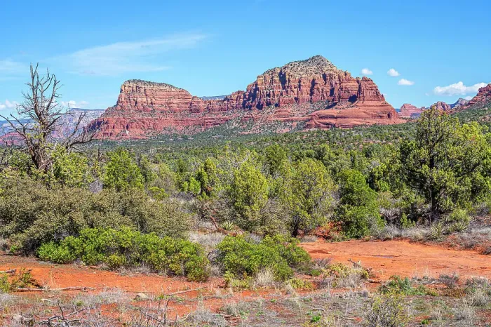 Framed Print : Mammuth Rock, Sedona, Arizona, USA Framed Print : Mammuth Rock, Sedona, Arizona, USA