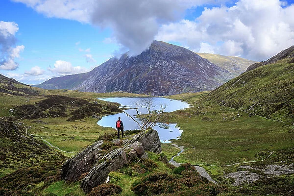 A man admires the view of Pen Yr Ole Wen and Llyn Idwal, Snowdonia, Wales, UK