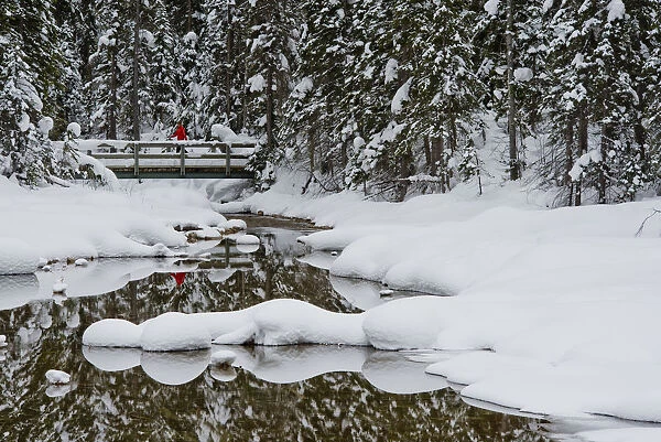 Man on Bridge in Winter, Emerald Lake, Yoho National Park, BC, Canada