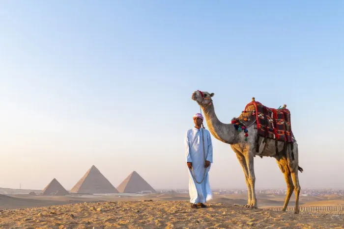 Framed Print : Man and his camel at the Pyramids of Giza, Giza, Cairo, Egypt Framed Print : Man and his camel at the Pyramids of Giza, Giza, Cairo, Egypt