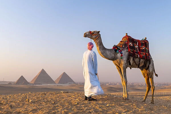 Man and his camel at the Pyramids of Giza, Giza, Cairo, Egypt
