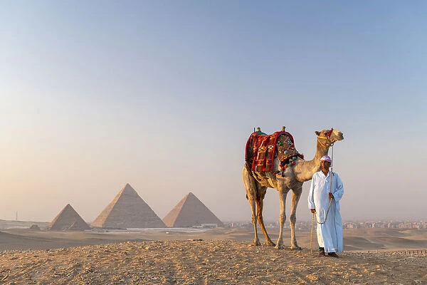 Man and his camel at the Pyramids of Giza, Giza, Cairo, Egypt