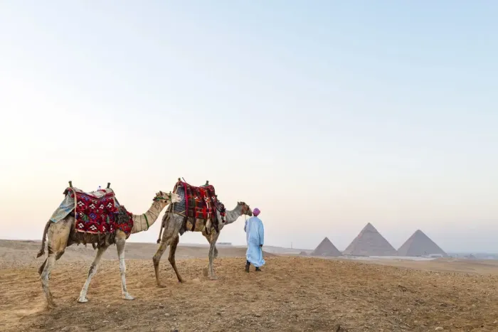 Framed Print : Man and his camels at the Pyramids of Giza, Giza, Cairo, Egypt Framed Print : Man and his camels at the Pyramids of Giza, Giza, Cairo, Egypt