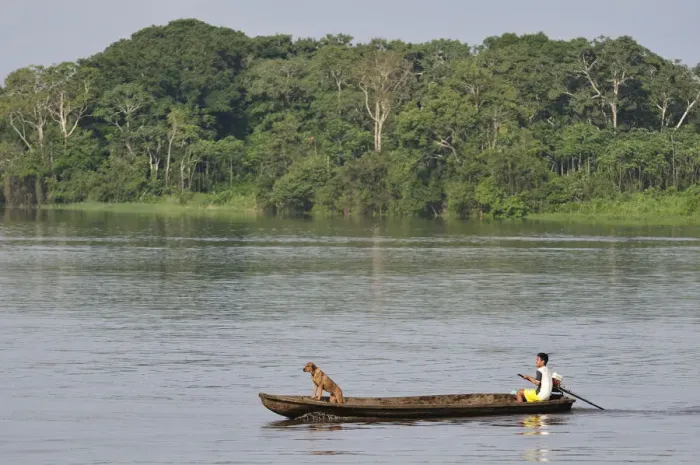 Framed Print : Man and his dog in a dugout canoe crossing the Amazon River, near Puerto Narino, Colombia Framed Print : Man and his dog in a dugout canoe crossing the Amazon River, near Puerto Narino, Colombia