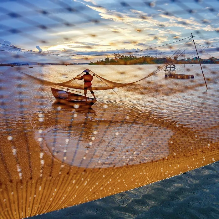 Framed Print : Man handling a fishing net on Thu Bon River at sunrise, Hoi An, Quang Nam Province, Central Vietnam. (MR) Framed Print : Man handling a fishing net on Thu Bon River at sunrise, Hoi An, Quang Nam Province, Central Vietnam. (MR)