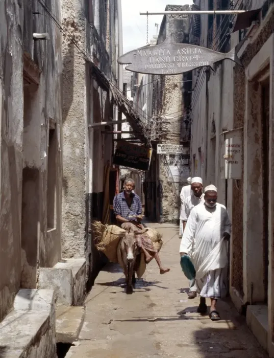 Framed Print : A man rides a donkey in one of the narrow streets of Lamu town