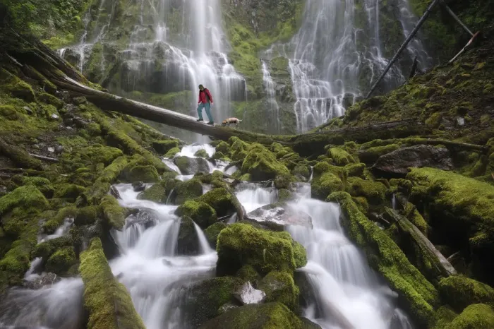Framed Print : Man walking dog at Proxy Falls, Oregon, USA MR Framed Print : Man walking dog at Proxy Falls, Oregon, USA MR