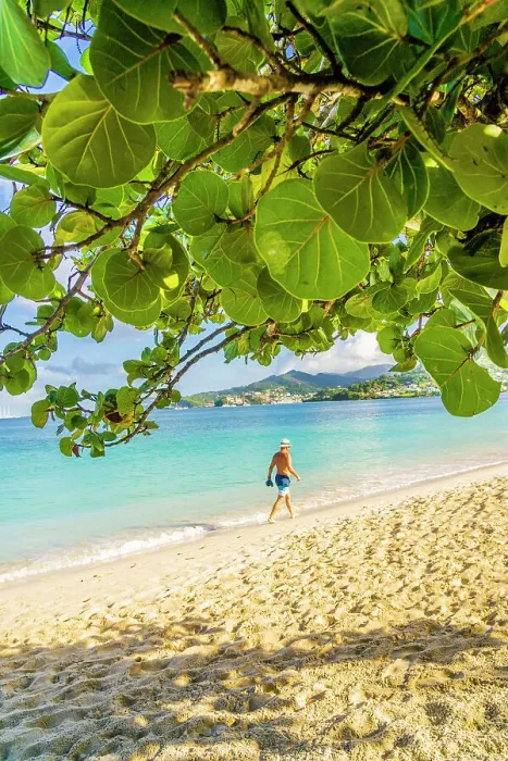 Framed Print : Man walking on Grand Anse Beach, Grenada, Caribbean