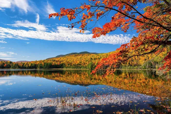 Framed Print : Maple tree over lake reflection in autumn, Adirondack Mountains, New York, USA Framed Print : Maple tree over lake reflection in autumn, Adirondack Mountains, New York, USA