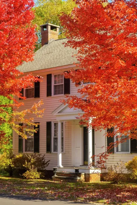 Framed Print : Maple tree and white house, Woodstock, Vermont, USA