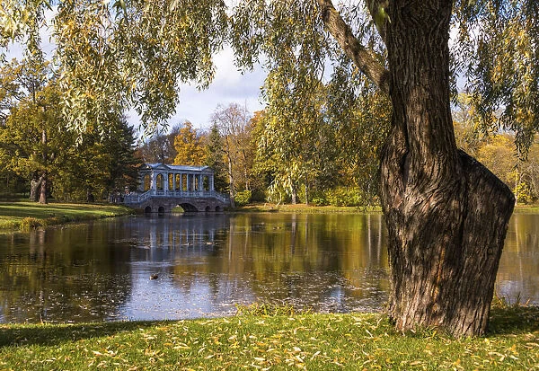 Marble Bridge reflected in the Great Pond, Catherine Park, Pushkin (Tsarskoye Selo)