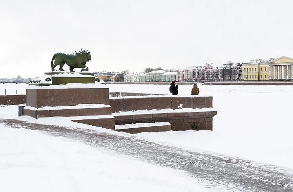 Marble lion at the Dvortsovaya pier of the Admiralty Embankment, on River Neva, looking towards the historic buildings of the University Embankment, Saint Petersburg, Russia