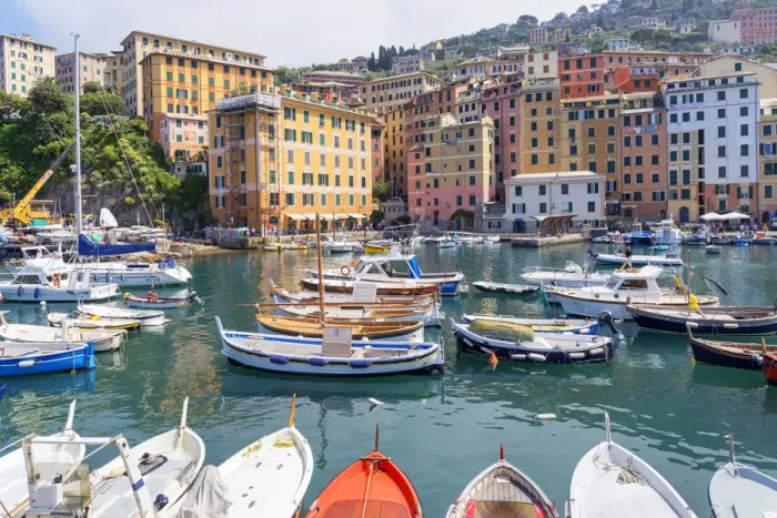 Framed Print : Marina harbour, Camogli, Liguria, Italy Framed Print : Marina harbour, Camogli, Liguria, Italy