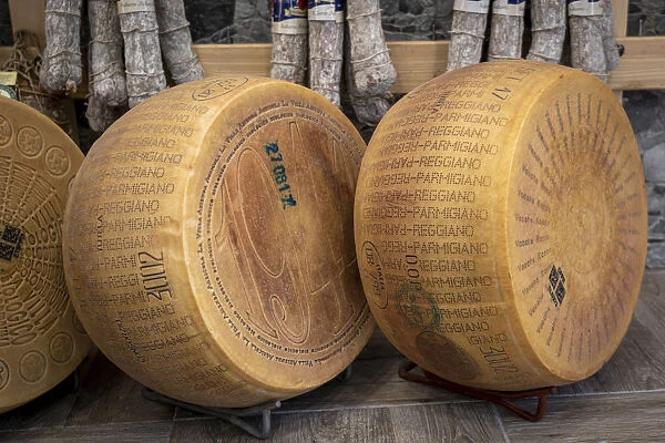 The marked wheels of Parmigiano-Reggiano (Parmesan) cheese. Parma, Emilia Romagna, Italy