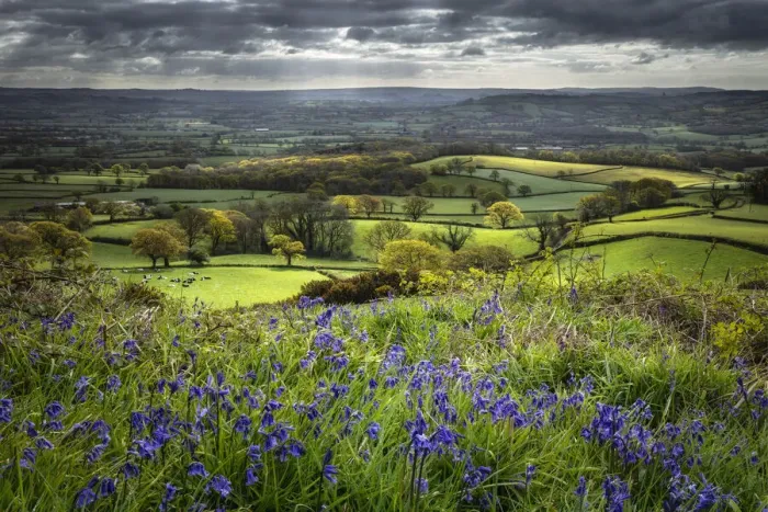 Framed Print : The Marshwood Vale in spring from Coneys Castle, Dorset, England, UK Framed Print : The Marshwood Vale in spring from Coneys Castle, Dorset, England, UK