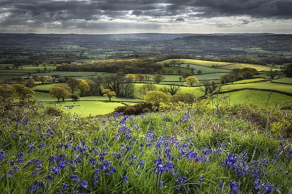The Marshwood Vale in spring from Coneys Castle, Dorset, England, UK