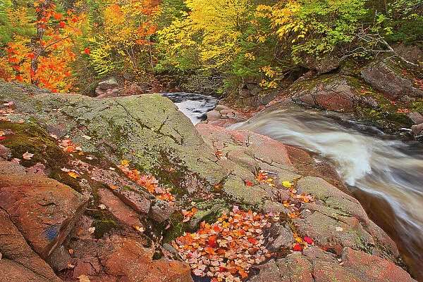 Mary-Anne Falls in the Acadian forest in autumn foliage Cape Breton Highlands National Park, Nova Scotia, Canada