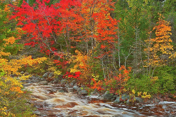Mary-Anne Falls in the Acadian forest in autumn foliage Cape Breton Highlands National Park, Nova Scotia, Canada