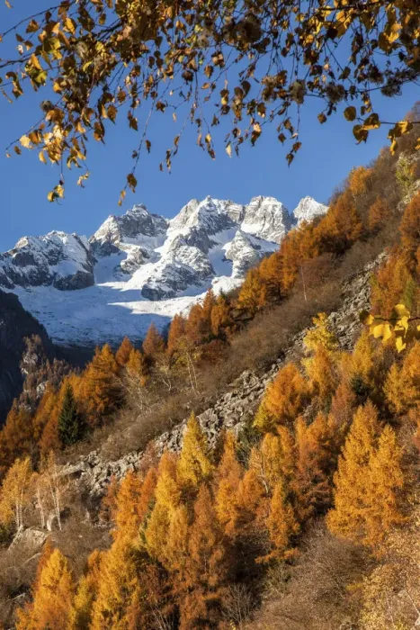 Framed Print : Masino valley in autumn, in the background Ferro peaks, Lombardy, Italy Framed Print : Masino valley in autumn, in the background Ferro peaks, Lombardy, Italy