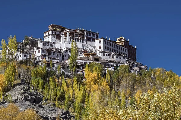 Matho Monastery, Ladakh, North India, Asia