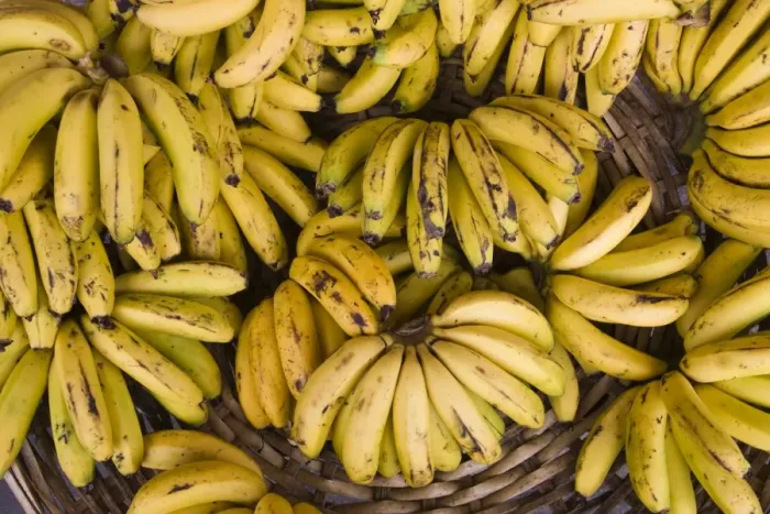 Framed Print : Mauritius, Port Louis, Central Market, bananas Framed Print : Mauritius, Port Louis, Central Market, bananas
