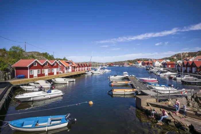 Framed Print : May 2019. Bleket, Bohuslan, Europe, Scandinavia Framed Print : May 2019. Bleket, Bohuslan, Europe, Scandinavia