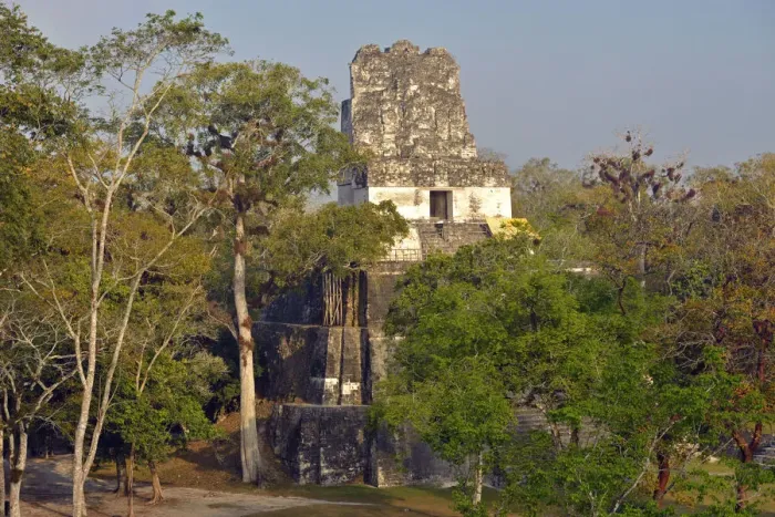 Framed Print : Maya Archaeologial Site Tikal, Tikal National Park, Peten, Mundo Maya, Guatemala Framed Print : Maya Archaeologial Site Tikal, Tikal National Park, Peten, Mundo Maya, Guatemala