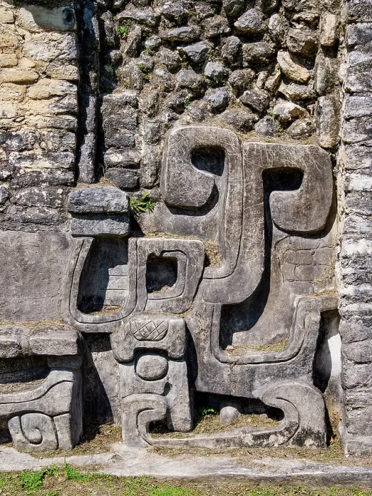 Framed Print : Mayan Ruins at Plaza A, detailed view, Caracol Archaeological Site, Cayo District, Belize